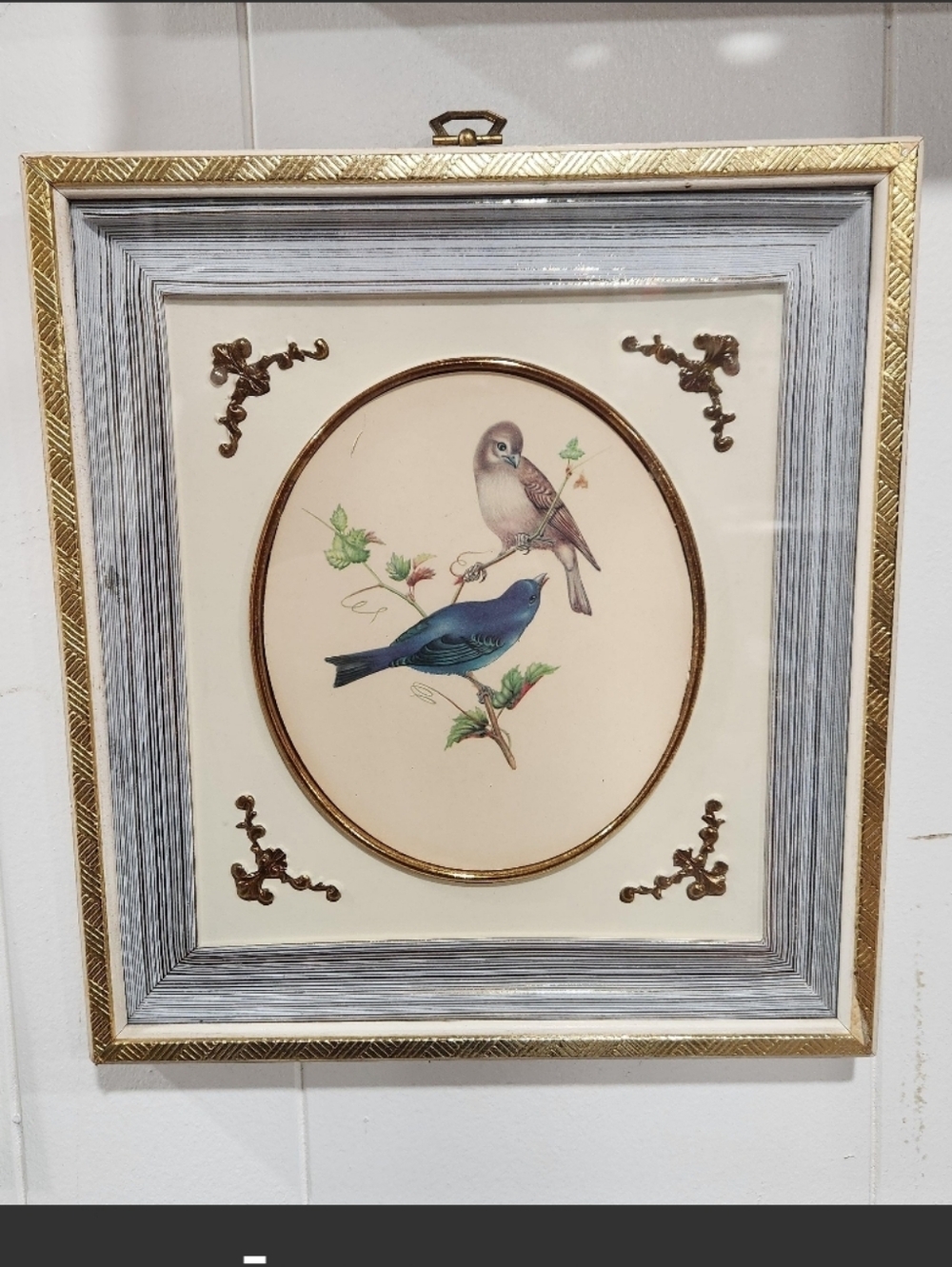 Vintage Wood Framed indigo Bunting lithograph mid-century modern 1958